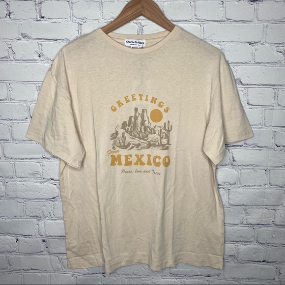 Lulu’s Charlie Holiday Vacay Beige Graphic Boyfriend Tee - Picture 4 of 11